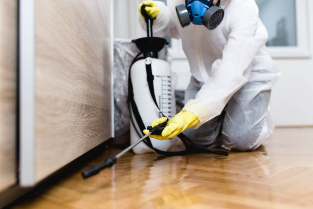 Best Local Pest Control Services  in Nassau Bay, TX