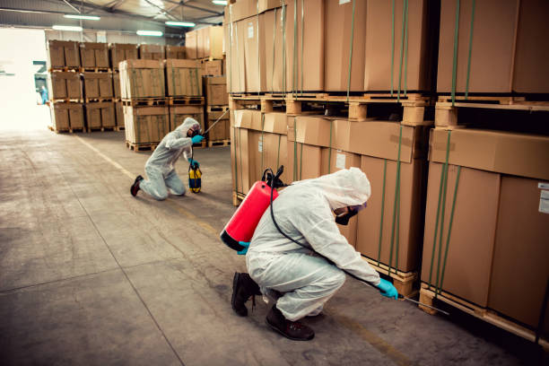 Pest Prevention Services in Nassau Bay, TX