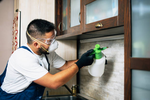 Best Best Pest Control Companies  in Nassau Bay, TX