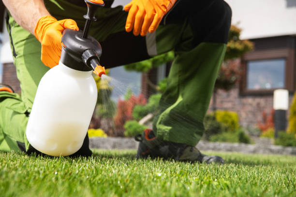 Best Spider Control Near Me  in Nassau Bay, TX