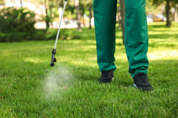 Best Cockroach Control Services  in Nassau Bay, TX