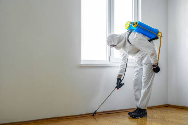 Best Rodent Control Near Me  in Nassau Bay, TX