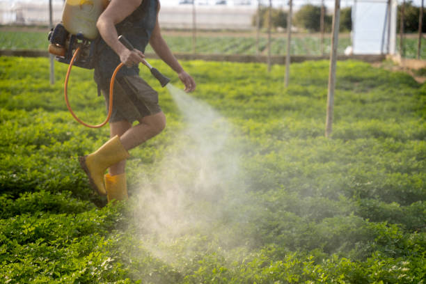 Best Exterminator Services  in Nassau Bay, TX