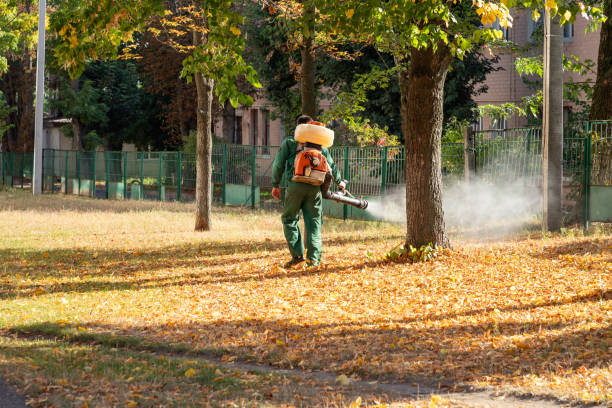 Best Spider Control Near Me  in Nassau Bay, TX