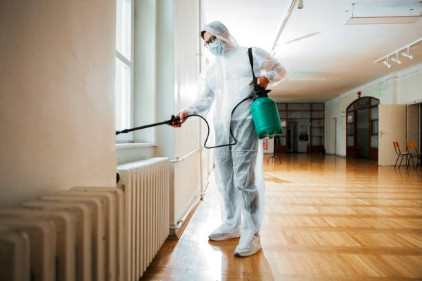 Flea Control Services in Nassau Bay, TX