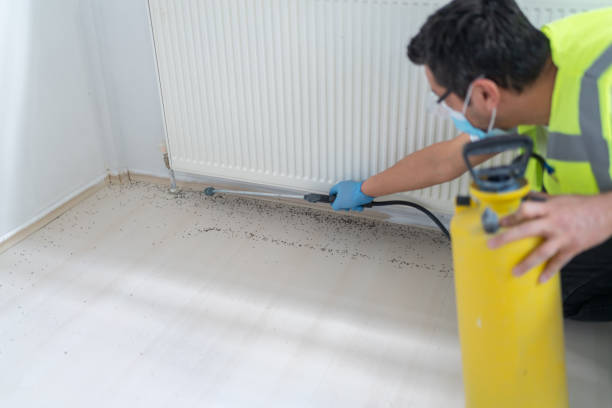 Best Mosquito Control Services  in Nassau Bay, TX