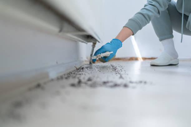Best Residential Pest Control  in Nassau Bay, TX