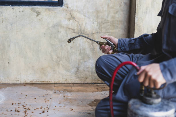 Best Pest Removal Services  in Nassau Bay, TX